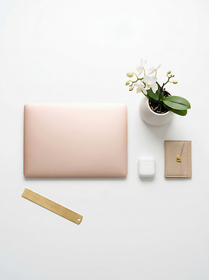 JPG 식물 편집이미지 화분 분홍색 자 노트북 사무실 사무용품 지갑 정리 편집실사 AI포토 AI콘텐츠 컬러 비즈니스 문구용품 전자제품 CG 파일형식