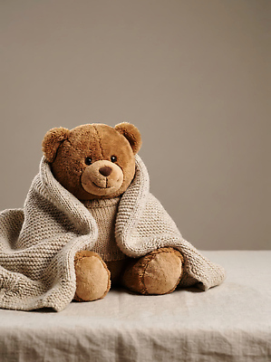 JPG 편집이미지 휴식 바닥 실내 따뜻함 앉기 장식 친구 인테리어 장난감 곰인형 아기용품 포근함 편안함 담요 부드러움 편집실사 AI포토 AI콘텐츠 디자인 인형 컨셉 관계 모션 내부 감각 CG 오브젝트 파일형식