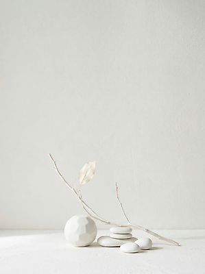 JPG 모양 편집이미지 예술 잎 장식 인테리어 공간 흰색 오브젝트 단순화된 편집실사 젠 AI포토 AI콘텐츠 식물 디자인 컬러 쌓기 돌 CG 파일형식