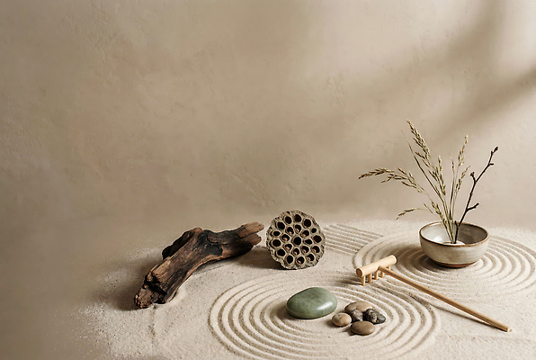 JPG 나무 식물 편집이미지 그릇 모래 조각 자연 장식 인테리어 원형 배열 편집실사 젠 AI포토 AI콘텐츠 도형 식기 디자인 쌓기 돌 CG 생태계 파일형식