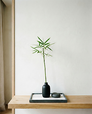 JPG 식물 편집이미지 모래 자연 쟁반 실내 장식 인테리어 꽃병 검은색 공간 대나무 심플 수목 편집실사 젠 AI포토 AI콘텐츠 나무 디자인 꽃 컬러 내부 쌓기 돌 CG 생태계 파일형식