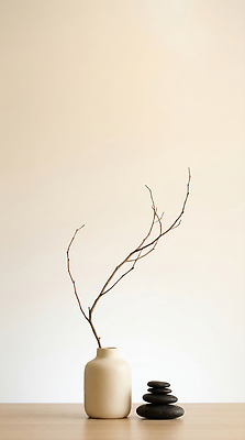 JPG 나무 식물 편집이미지 실내 장식 인테리어 꽃병 오브젝트 심플 편집실사 젠 AI포토 AI콘텐츠 디자인 꽃 내부 쌓기 돌 CG 파일형식