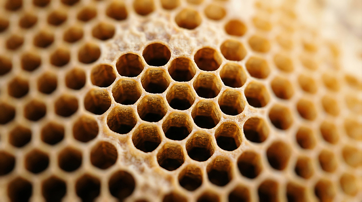 JPG 편집이미지 수확 꿀벌 육각형 꿀 벌집 양봉 양봉업 편집실사 AI포토 AI콘텐츠 도형 농업 벌_곤충 CG 파일형식