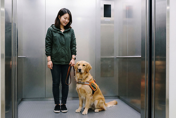 JPG 편집이미지 여자 함께함 실내 반려동물 짐 개 엘리베이터 동반 안내견 의료성형뷰티 편집실사 AI인물포토 AI콘텐츠 동물 컨셉 포유류 사람 내부 CG 파일형식 AI포토