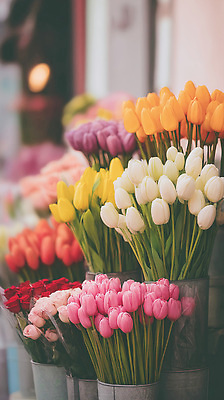 JPG 식물 편집이미지 꽃 대화 장미 전시 공간 튤립 분위기 꽃집 원예 편집실사 AI포토 AI콘텐츠 컨셉 말하기 취미 상점 CG 파일형식