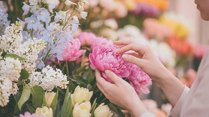 JPG 편집이미지 손 꽃 사람 봄 선택 꽃집 뷰티풀 의료성형뷰티 편집실사 AI인물포토 AI콘텐츠 식물 계절 컨셉 신체부위 상점 CG 파일형식 AI포토