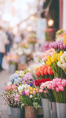 JPG 편집이미지 꽃 화초 판매 상점 봄 전시 튤립 꽃집 플로리스트 편집실사 AI포토 AI콘텐츠 식물 직업 계절 CG 파일형식