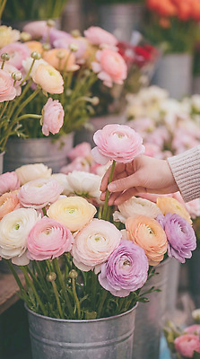 JPG 식물 편집이미지 손 꽃 분홍색 노란색 보라색 선택 구매 꽃집 라넌큘러스 편집실사 AI인물포토 AI콘텐츠 컬러 컨셉 신체부위 쇼핑 상점 CG 파일형식 AI포토