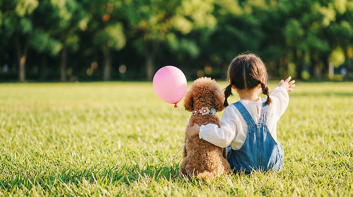 JPG 편집이미지 공원 행복 어린이 웃음 소녀 초원 야외 친구 반려동물 강아지 푸들 풍선 놀기 의료성형뷰티 편집실사 AI인물포토 AI콘텐츠 동물 공공시설 여자 감정 관계 모션 표정 사람 개 CG 파일형식 AI포토