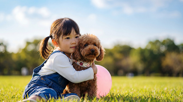 JPG 나무 편집이미지 공원 어린이 안기 사랑 소녀 잔디 친구 반려동물 햇빛 소풍 강아지 즐거움 푸들 풍선 놀기 의료성형뷰티 편집실사 AI인물포토 AI콘텐츠 식물 동물 공공시설 여자 감정 관계 모션 사람 태양 야외활동 개 CG 파일형식 AI포토