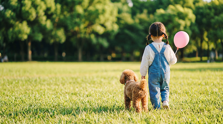 JPG 나무 편집이미지 공원 자연 소녀 친구 반려동물 소풍 걷기 개 강아지 즐거움 푸들 풍선 의료성형뷰티 편집실사 AI인물포토 AI콘텐츠 식물 동물 공공시설 여자 감정 어린이 포유류 관계 모션 야외활동 CG 생태계 파일형식 AI포토