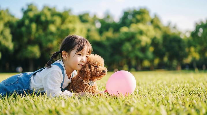 JPG 나무 편집이미지 공원 어린이 함께함 소녀 초원 친구 반려동물 햇빛 강아지 즐거움 푸들 풍선 놀기 의료성형뷰티 편집실사 AI인물포토 AI콘텐츠 식물 동물 공공시설 여자 감정 컨셉 관계 모션 사람 태양 개 CG 파일형식 AI포토