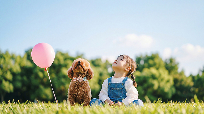 JPG 나무 편집이미지 공원 행복 하늘 함께함 앉기 소녀 잔디 친구 맑음 강아지 푸들 풍선 놀기 의료성형뷰티 편집실사 AI인물포토 AI콘텐츠 식물 공공시설 여자 감정 어린이 컨셉 관계 모션 날씨 반려동물 개 CG 파일형식 AI포토