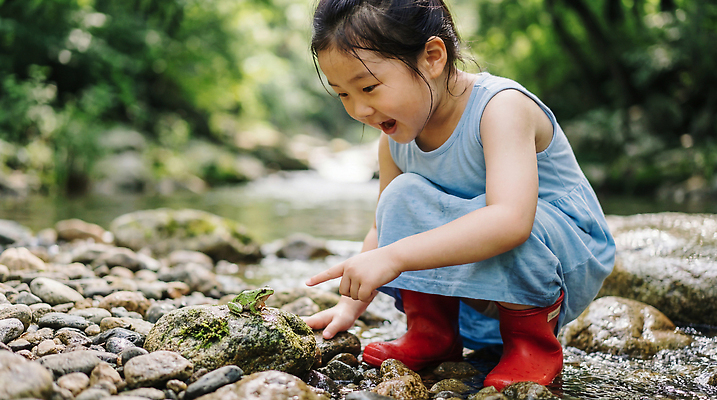 JPG 나무 편집이미지 어린이 자연 물놀이 개구리 소녀 물 계곡 기쁨 탐험 개울 발견 의료성형뷰티 편집실사 AI인물포토 AI콘텐츠 자연요소 식물 여자 감정 놀이 양서류 사람 강 CG 생태계 파일형식 AI포토