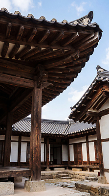 JPG 나무 편집이미지 전통 건축 전통문화 지붕 한옥 한국 내부 정원 기둥 구출 클래식 기와지붕 편집실사 AI포토 AI콘텐츠 식물 한국전통 아시아 문화 컨셉 고건축 기와 CG 파일형식