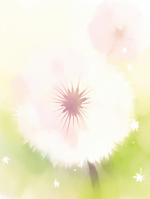 JPG 식물 꽃 일러스트 봄꽃 자연 풍경 잔디 초록색 햇빛 정원 봄 민들레 부드러움 색감 국내일러스트 AI일러스트 AI콘텐츠 계절 컬러 태양 감각 생태계 파일형식