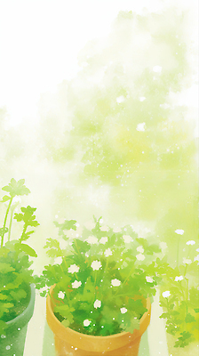 JPG 식물 꽃 화분 잎 일러스트 자연 생명 날씨 풍경 일상 생활 초록색 물 햇빛 정원 성장 수목원 국내일러스트 AI일러스트 AI콘텐츠 자연요소 컬러 라이프 태양 생태계 파일형식