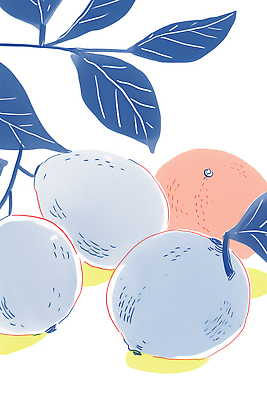 JPG 모양 나무 식물 디자인 음식 과일 일러스트 자연 귤 농작물 농장 농사 수확 신선 레몬 그림 원예 국내일러스트 AI일러스트 AI콘텐츠 농업 취미 생태계 파일형식