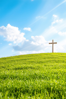 JPG 나무 편집이미지 기독교 종교 십자가 자연 하늘 풍경 초원 여름 빛 평화 봄 땅 편집실사 AI컴퓨터그래픽 AI콘텐츠 식물 계절 컨셉 CG 생태계 파일형식