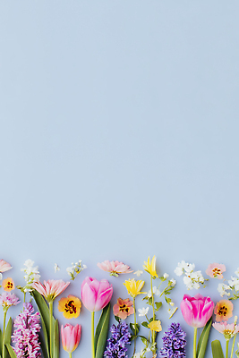 JPG 식물 편집이미지 꽃 화초 꽃다발 백그라운드 자연 일상 장식 정원 봄 뷰티풀 플로리스트 편집실사 AI포토 AI콘텐츠 직업 계절 라이프 CG 생태계 파일형식