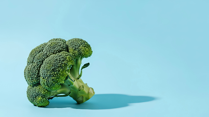 JPG 편집이미지 음식 백그라운드 채소 자연 그림자 요리 초록색 파란색 농장 식사 신선 시장 브로콜리 건강식 편집실사 AI포토 AI콘텐츠 컬러 농업 CG 생태계 파일형식