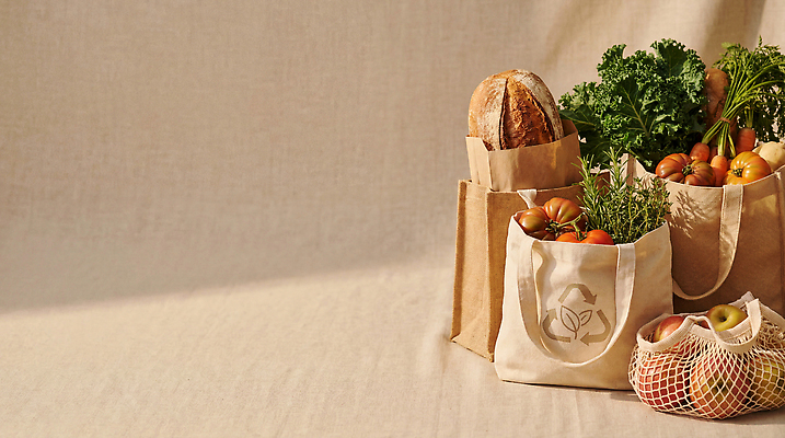 JPG 편집이미지 음식 채소 가방 과일 재료 자연 건강 쇼핑 상점 재활용 시장 구매 장바구니 친환경 유기농 에코백 편집실사 AI포토 AI콘텐츠 웰빙 잡화 바구니 환경 CG 에코 생태계 파일형식