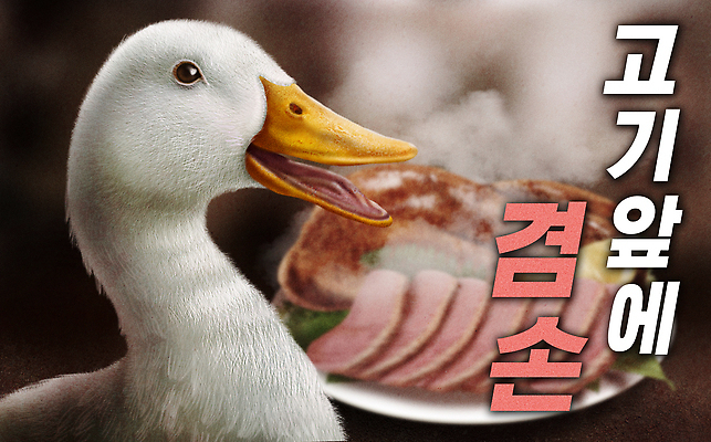 PSD 동물 접시 음식 일러스트 오리 육류 수증기 오리고기 고기요리 국내일러스트 식기 식재료 조류 파일형식