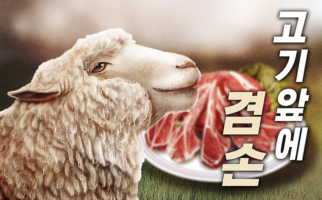 PSD 동물 접시 음식 일러스트 육류 식사 양 축산업 양고기 고기요리 맛있는 국내일러스트 식기 산업 식재료 포유류 파일형식