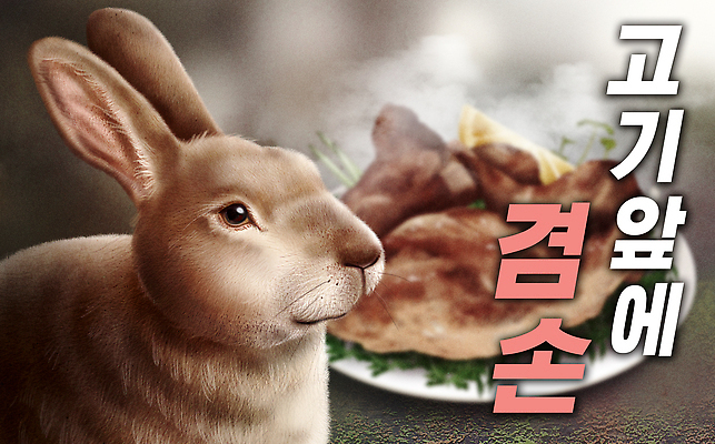 PSD 동물 접시 음식 채소 일러스트 육류 요리 식사 토끼 신선 고기요리 식사준비 국내일러스트 식기 식재료 포유류 반려동물 준비 파일형식