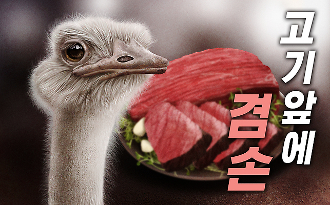 PSD 동물 음식 일러스트 육류 식사 산책 타조 고기요리 국내일러스트 식재료 조류 휴식 파일형식