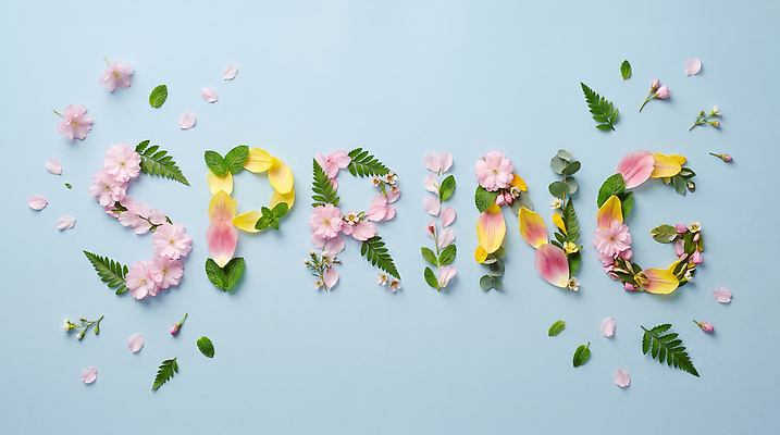 JPG 식물 편집이미지 문자 디자인 계절 꽃잎 예술 컬러 봄꽃 타이포그라피 장식 봄 배열 레터링 편집실사 AI포토 AI콘텐츠 꽃 CG 파일형식
