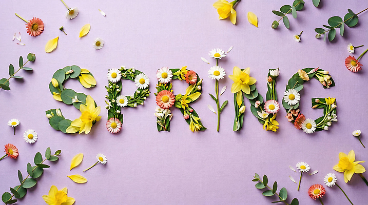 JPG 식물 편집이미지 문자 디자인 계절 꽃잎 꽃 컬러 나뭇잎 타이포그라피 장식 봄 레터링 편집실사 AI포토 AI콘텐츠 잎 CG 파일형식