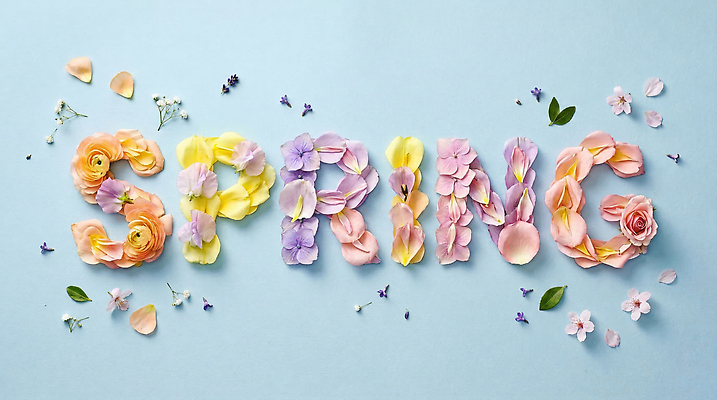 JPG 식물 편집이미지 문자 디자인 꽃잎 꽃 예술 컬러 타이포그라피 장식 봄 표현 조화 색채 창의성 레터링 편집실사 AI포토 AI콘텐츠 계절 CG 파일형식