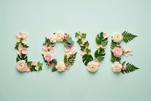 JPG 식물 편집이미지 꽃잎 꽃 컬러 잎 국화 사랑 타이포그라피 장식 장미 다양 조화 레터링 편집실사 AI포토 AI콘텐츠 문자 감정 다수 CG 파일형식