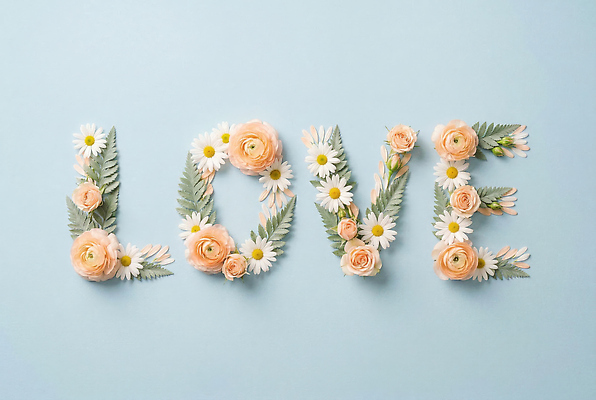 JPG 모양 편집이미지 디자인 꽃잎 꽃 컬러 사랑 타이포그라피 장식 배열 심플 레터링 편집실사 AI포토 AI콘텐츠 식물 문자 감정 CG 파일형식