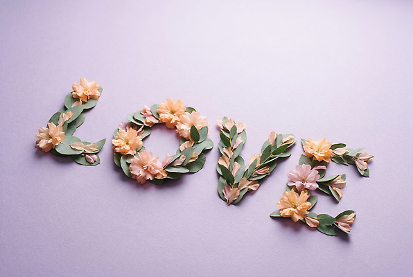 JPG 편집이미지 문자 디자인 꽃잎 꽃 예술 잎 사랑 타이포그라피 장식 창의성 레터링 편집실사 AI포토 AI콘텐츠 식물 감정 CG 파일형식