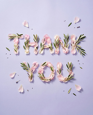 JPG 편집이미지 문자 디자인 꽃잎 잎 텍스트 타이포그라피 장식 메시지 배열 감사 레터링 편집실사 AI포토 AI콘텐츠 식물 꽃 감정 CG 파일형식