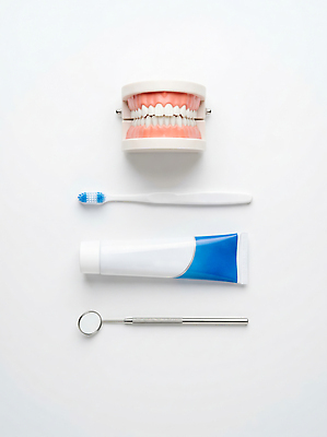 JPG 편집이미지 건강 관리 미소 모형 건강관리 청결 도구 치아 위생 칫솔 구강 치약 치아모형 치아건강 편집실사 AI포토 AI콘텐츠 표정 위생용품 입 소화기관 CG 파일형식