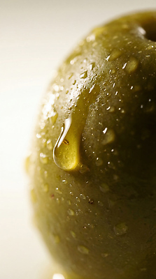 JPG 식물 편집이미지 음식 표면 건강 빛 촉촉함 물방울 올리브오일 올리브 이미지 편집실사 AI포토 AI콘텐츠 열매 젖음 기름_음식 CG 파일형식