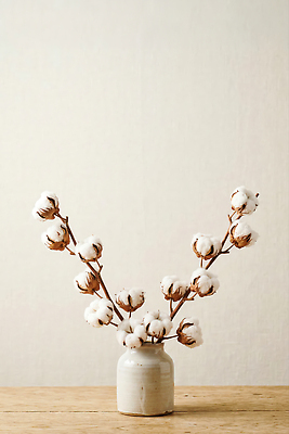 JPG 나무 식물 편집이미지 실내 장식 꽃병 오브젝트 심플 목화솜 편집실사 AI포토 AI콘텐츠 꽃 내부 솜 CG 파일형식