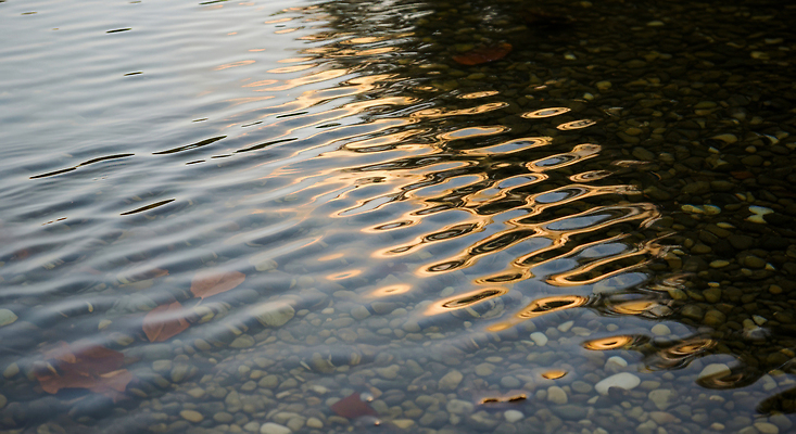 JPG 편집이미지 물결 자연 풍경 물 여름 강 햇빛 반사 평화 흐름 조약돌 물가 수면 저녁 편집실사 AI포토 AI콘텐츠 자연요소 계절 컨셉 태양 돌 밤 야간 CG 생태계 파일형식