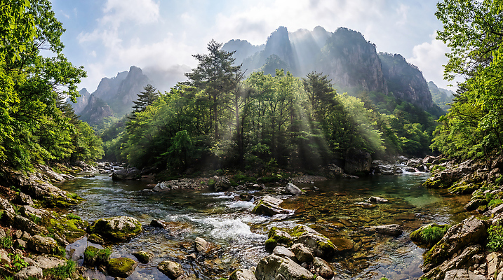 JPG 나무 편집이미지 여행 자연 산 풍경 물 여름 강 햇빛 계곡 바위 개울 숲 편집실사 AI컴퓨터그래픽 AI콘텐츠 자연요소 식물 계절 태양 CG 생태계 파일형식
