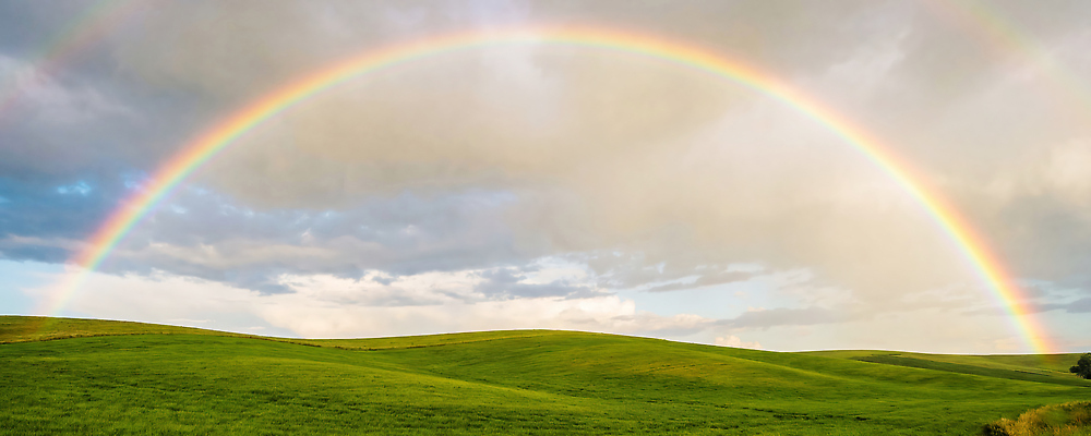 JPG 편집이미지 무지개 자연 하늘 날씨 풍경 초원 고요 편집실사 AI컴퓨터그래픽 AI콘텐츠 자연요소 CG 생태계 파일형식