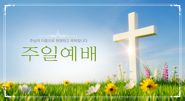 PSD 편집이미지 꽃 기독교 종교 십자가 하늘 믿음 성경 기도 일주일 축복 성전 예배 숭배 이미지편집 식물 감정 컨셉 종교용품 파일형식