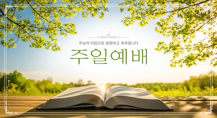 PSD 나무 편집이미지 종교 자연 나뭇잎 햇빛 성경 기도 일주일 예수 준비 예배 이미지편집 식물 잎 종교용품 태양 신_종교 생태계 파일형식