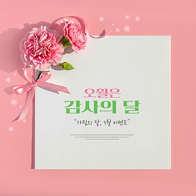 PSD 편집이미지 꽃 리본 종이 분홍색 이벤트 장식 축하 5월 소중 카네이션 감사 가정의달 이미지편집 식물 감정 컬러 컨셉 날짜 파일형식