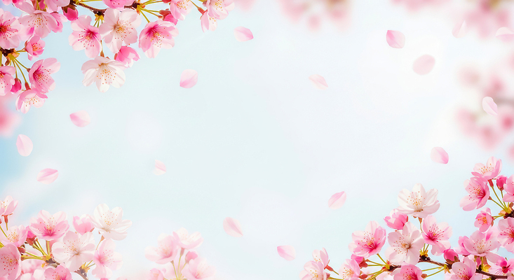 JPG 나무 편집이미지 꽃잎 꽃 여유 자연 하늘 풍경 봄 벚꽃 벚나무 이미지편집 AI컴퓨터그래픽 AI콘텐츠 식물 계절 감정 생태계 파일형식