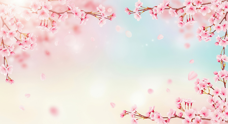 JPG 나무 편집이미지 꽃잎 꽃 분홍색 백그라운드 자연 하늘 풍경 일상 봄 벚꽃 벚나무 떨어짐 만개 이미지편집 AI컴퓨터그래픽 AI콘텐츠 식물 계절 컬러 컨셉 라이프 생태계 파일형식