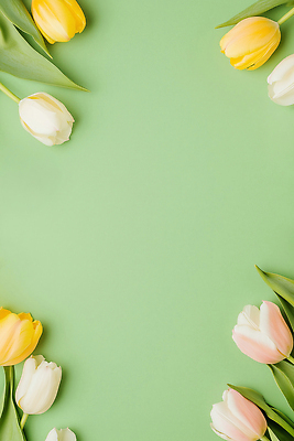 JPG 식물 편집이미지 꽃잎 꽃 백그라운드 자연 연두색 봄 튤립 편집실사 AI포토 AI콘텐츠 계절 초록색 CG 생태계 파일형식