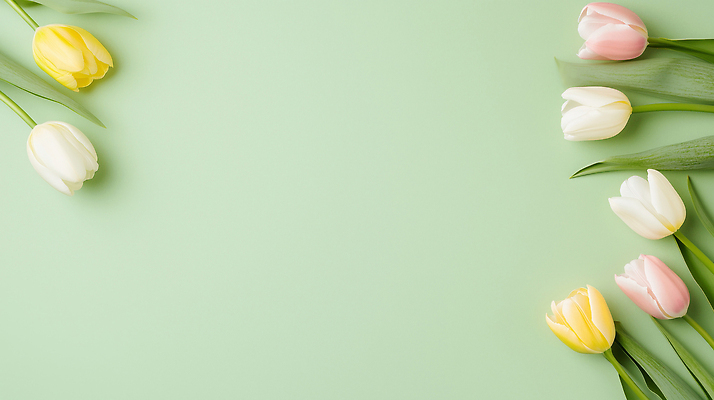 JPG 식물 편집이미지 꽃 백그라운드 잎 자연 초록색 봄 튤립 편집실사 AI포토 AI콘텐츠 계절 컬러 CG 생태계 파일형식